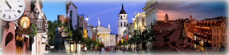 Шенгенская виза - Литва