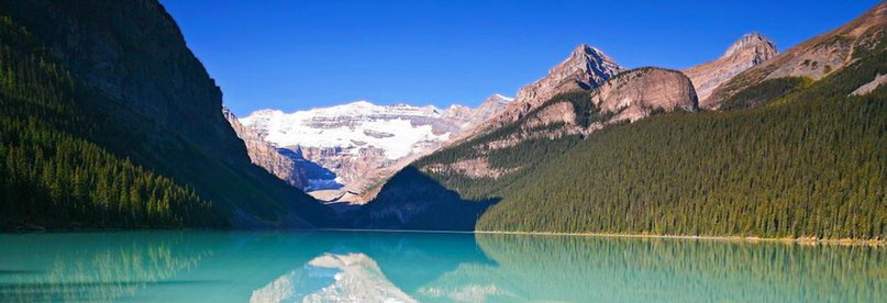 ���� � ������ ���� ��� ���������