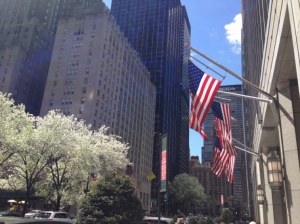 ���� � ��� 2019 &ndash; ����� ����������